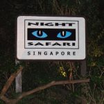 今日熱門文章：【新加坡旅遊】新加坡夜間動物園 Night Safari：世界第一間夜間動物園 441