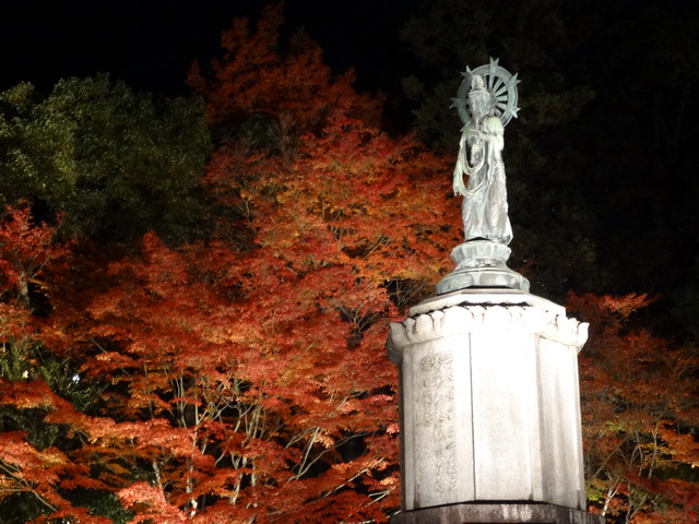 【日本京都旅遊】夜訪知恩院：日本最巨大的三門與夜間賞楓 1316 @貓大爺