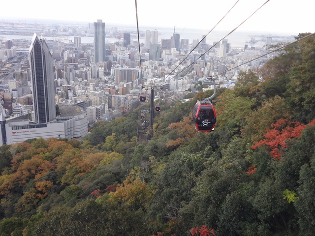 【日本神戶旅遊】布引藥草花園：風景美麗的登山纜車與楓紅 1324 @貓大爺