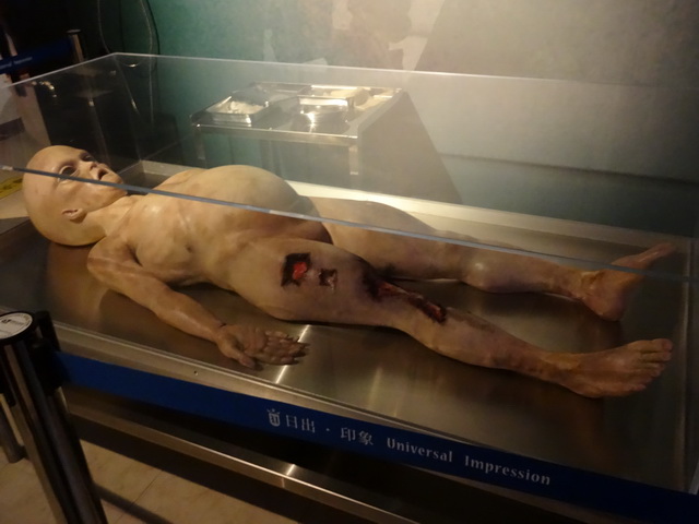 【展覽】國立台灣科學教育館：外星人特展與探索化學世界 1348 @貓大爺