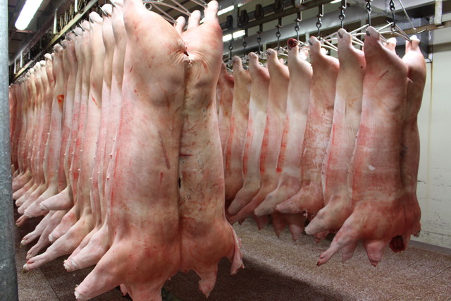 【桃園蘆竹旅遊】雅勝冷凍食品公司參訪：CAS 認證安全衛生豬肉 1708 @貓大爺
