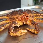 今日熱門文章：【信義安和站美食】黑潮市集花甲蟹鍋：來自澳門的火鍋，還有鮮美帝王蟹 1742