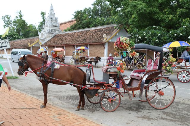 【泰國南邦旅遊】南邦府旅遊筆記 Lam Pang：鄰近清邁的古樸馬車遊街風光 2950 @貓大爺