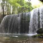 今日熱門文章：【日本九州熊本旅遊】鍋之瀑布：空靈清幽的美麗森林瀑布 2996