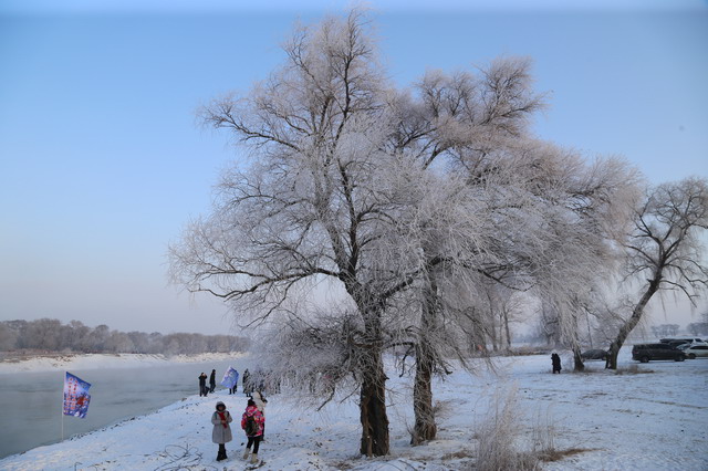 【中國東北旅遊】吉林省霧凇：零下20度冬季限定樹枝結冰自然奇觀 3293 @貓大爺