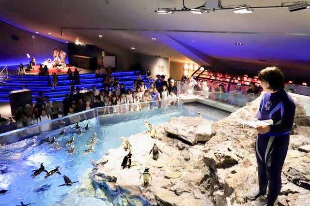 【日本東京旅遊】墨田水族館 Sumida Aquarium：押上晴空塔底下的親子水族館 3563 @貓大爺